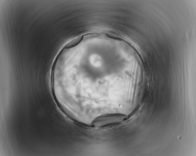 X0000096221103200802151517