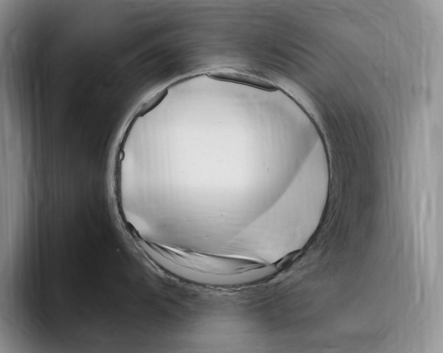 X0000096221104200802151517