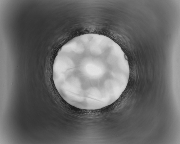 X0000096221105200802151516