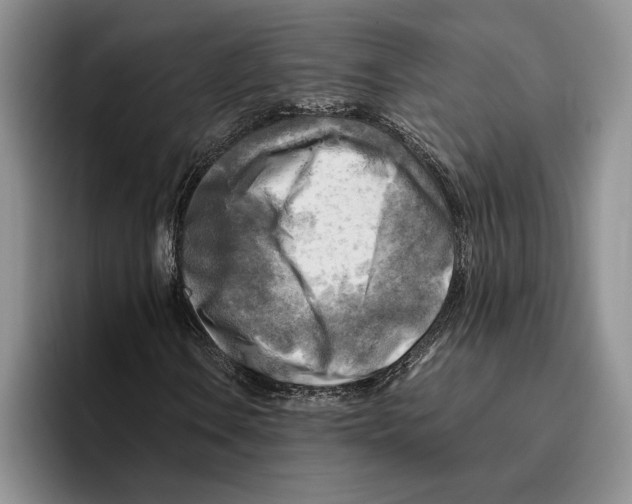 X0000096221106200802151516