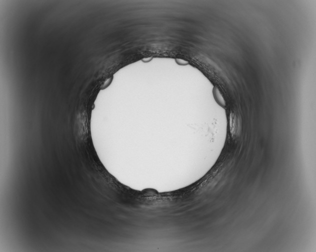 X0000096221107200802151516