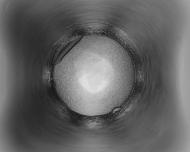 X0000096221108200802151516