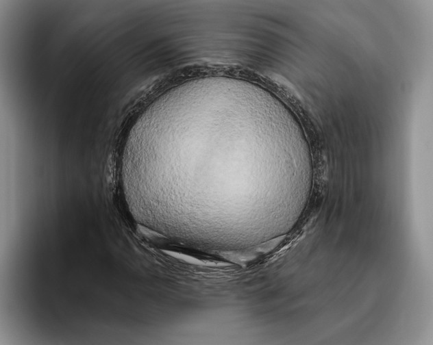 X0000096221110200802151516