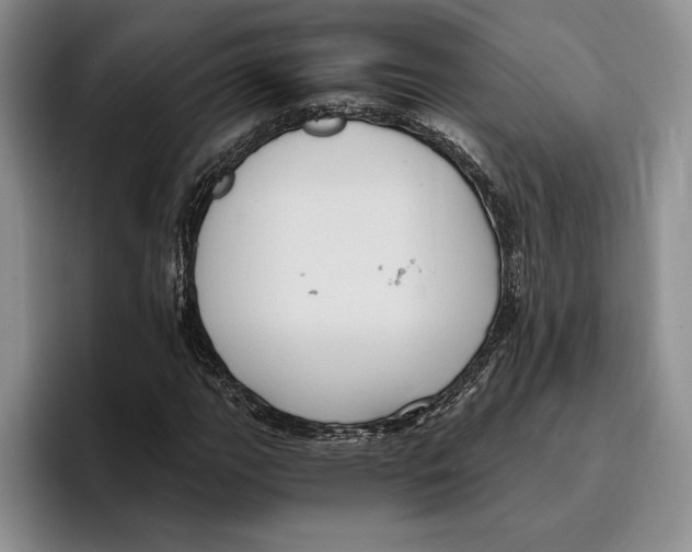 X0000096221111200802151516