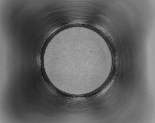 X0000096221113200802151516