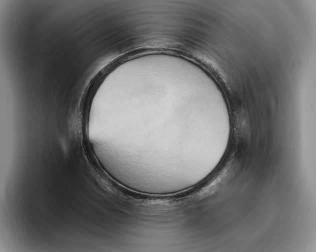 X0000096221114200802151516