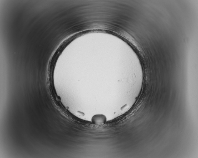 X0000096221116200802151516