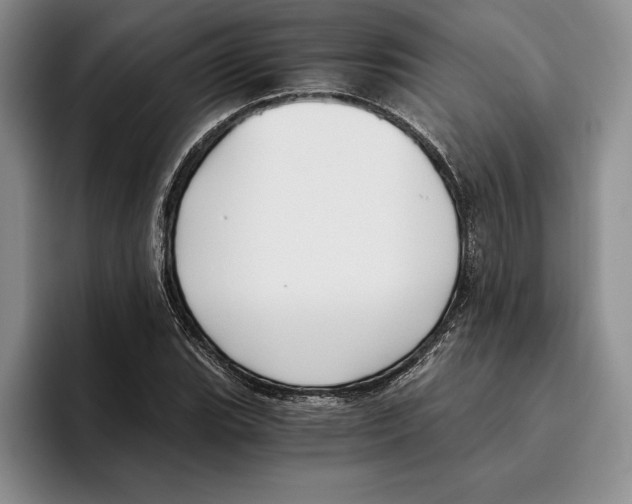 X0000096221119200802151516