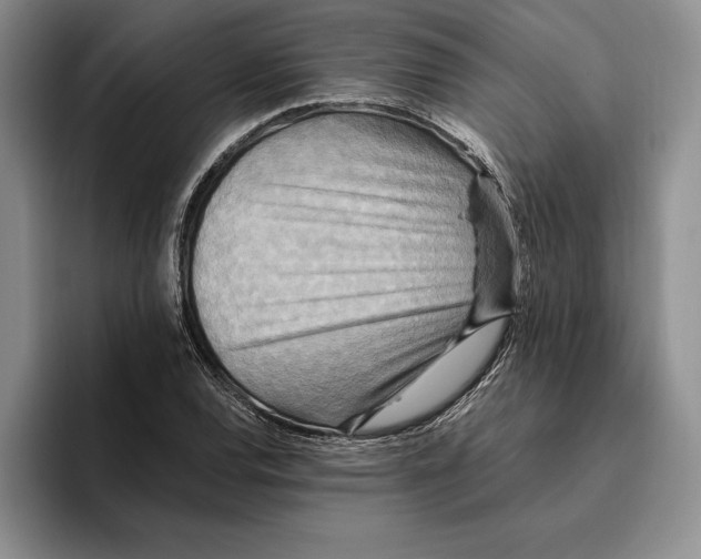 X0000096221120200802151516