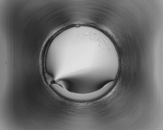 X0000096221122200802151516