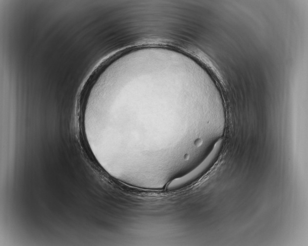 X0000096221124200802151517