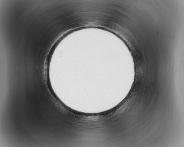 X0000096221126200802151517