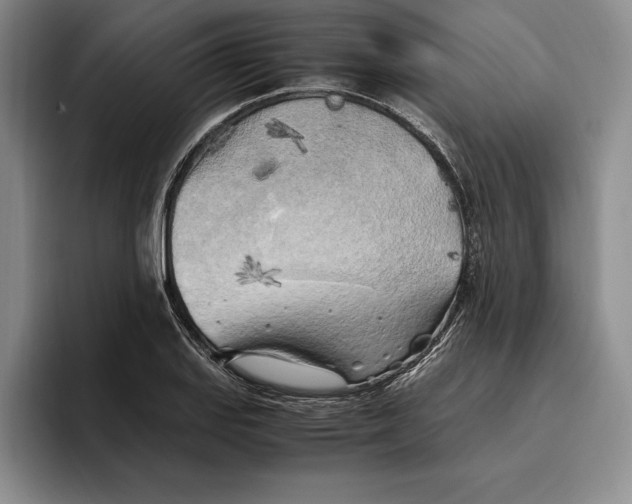 X0000096221127200802151517