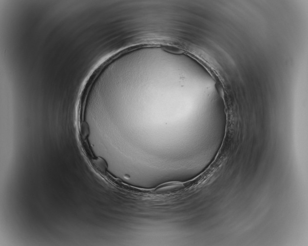 X0000096221128200802151517