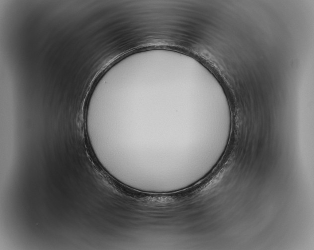 X0000096221129200802151517