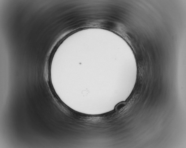 X0000096221131200802151517