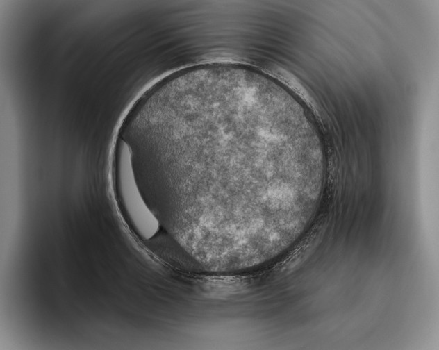 X0000096221132200802151517