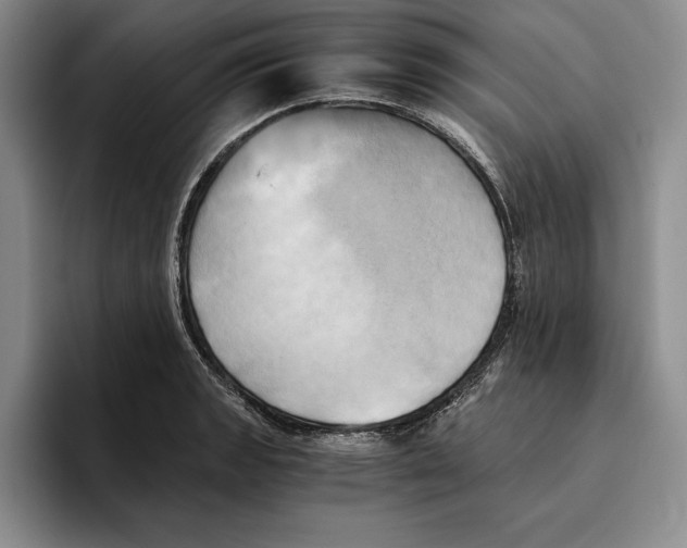 X0000096221133200802151517