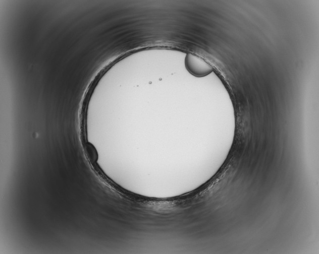 X0000096221135200802151517