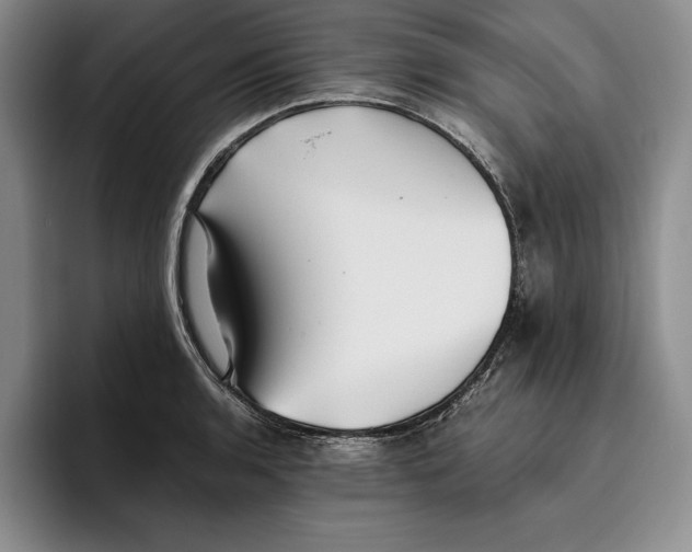 X0000096221136200802151517