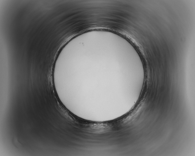 X0000096221137200802151517