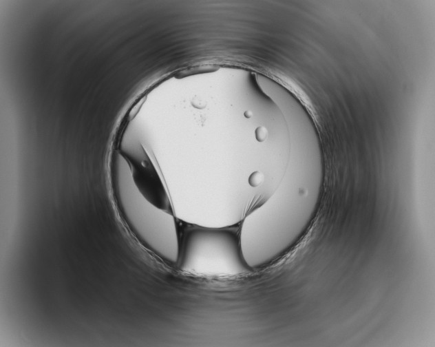 X0000096221138200802151517