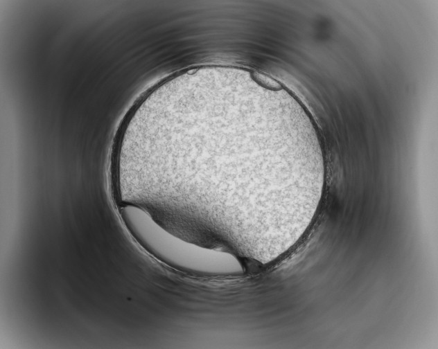 X0000096221139200802151517