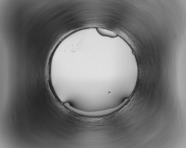 X0000096221140200802151517