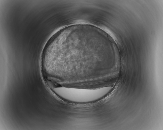 X0000096221142200802151517