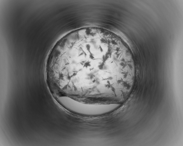 X0000096221143200802151517