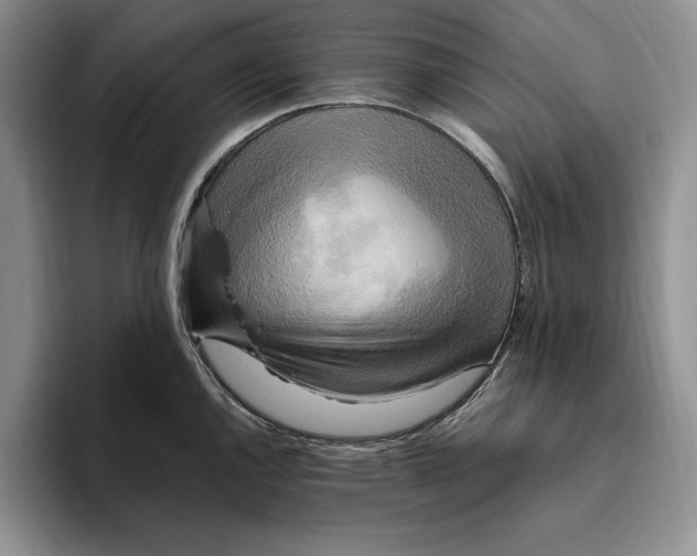 X0000096221144200802151517