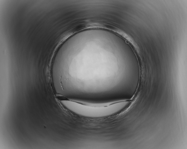 X0000096221145200802151517