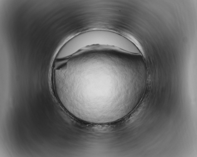 X0000096221146200802151517