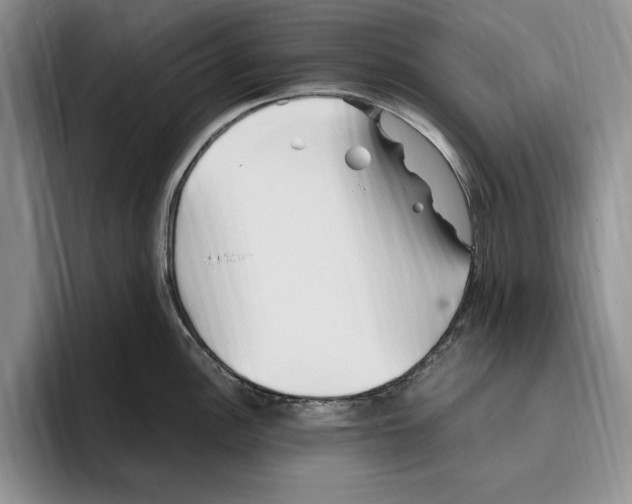 X0000096221148200802151517