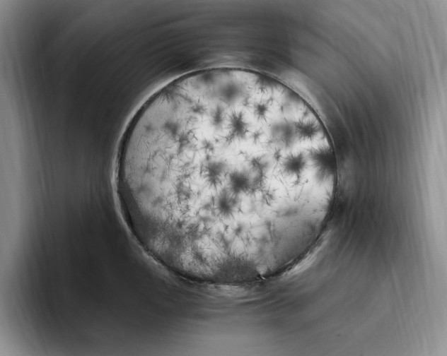 X0000096221149200802151517