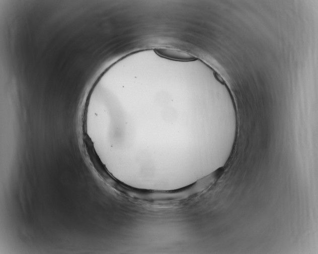 X0000096221152200802151517