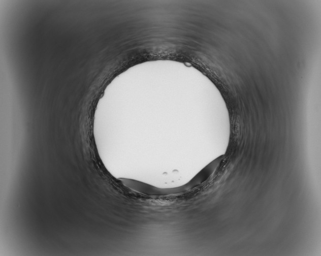 X0000096221153200802151516