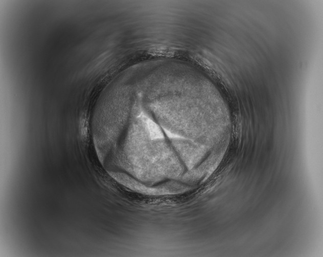 X0000096221154200802151516