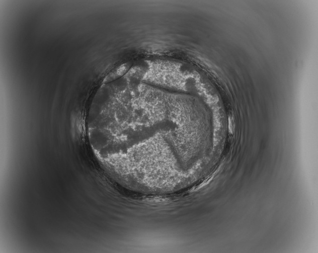 X0000096221155200802151516