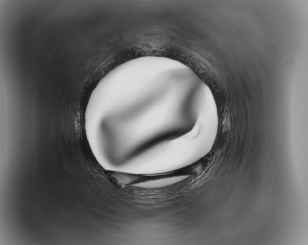 X0000096221156200802151516