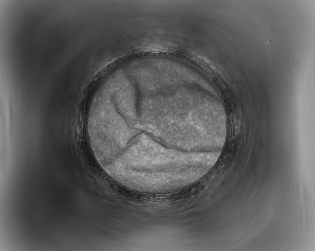 X0000096221158200802151516