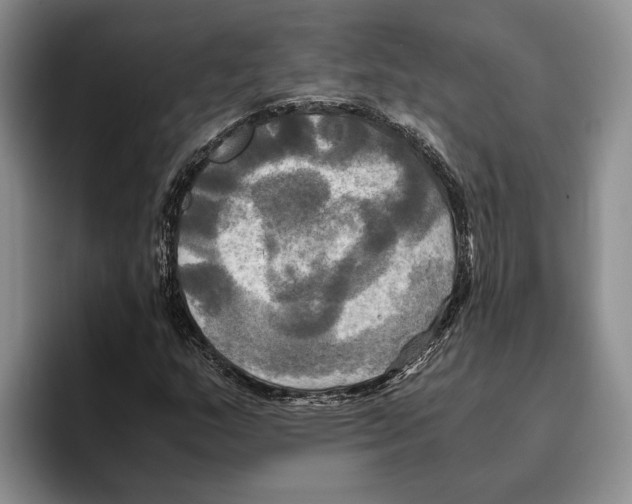 X0000096221159200802151516