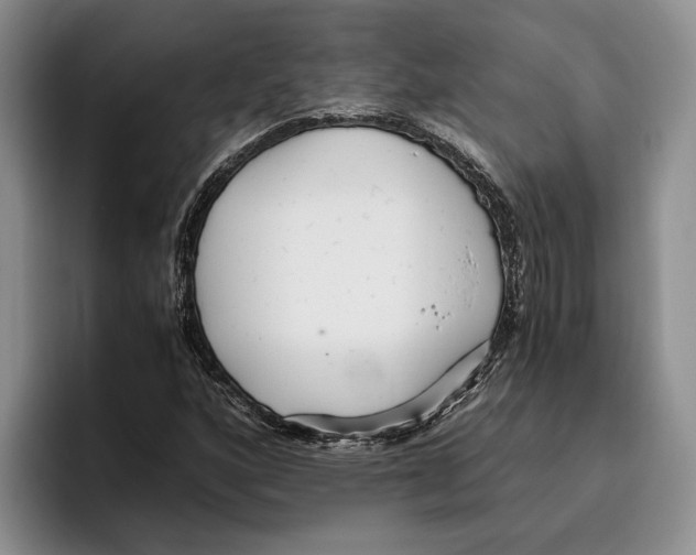 X0000096221160200802151516