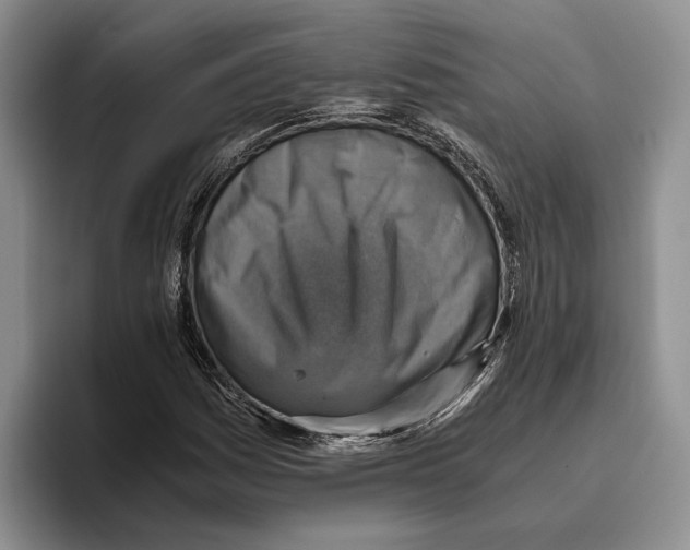 X0000096221161200802151516