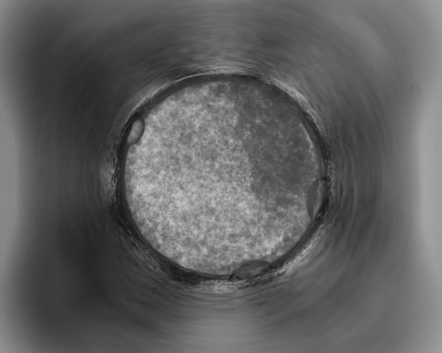 X0000096221163200802151516