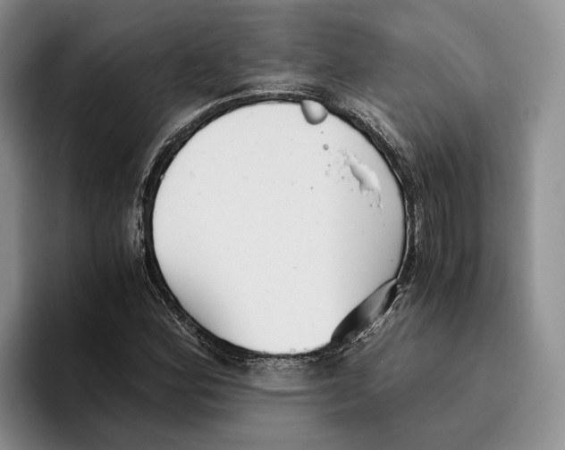 X0000096221164200802151516