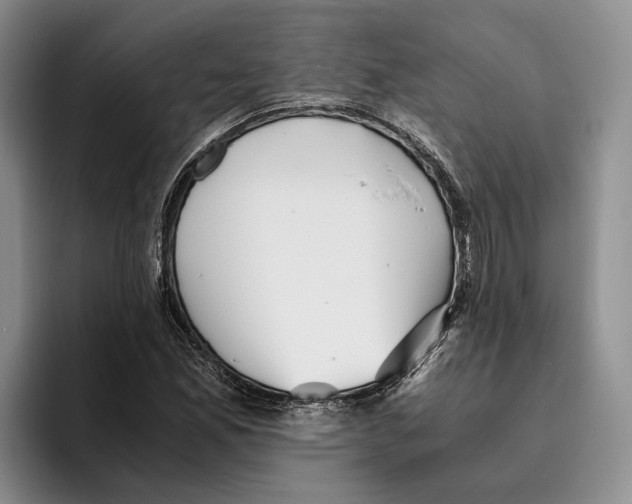 X0000096221165200802151516