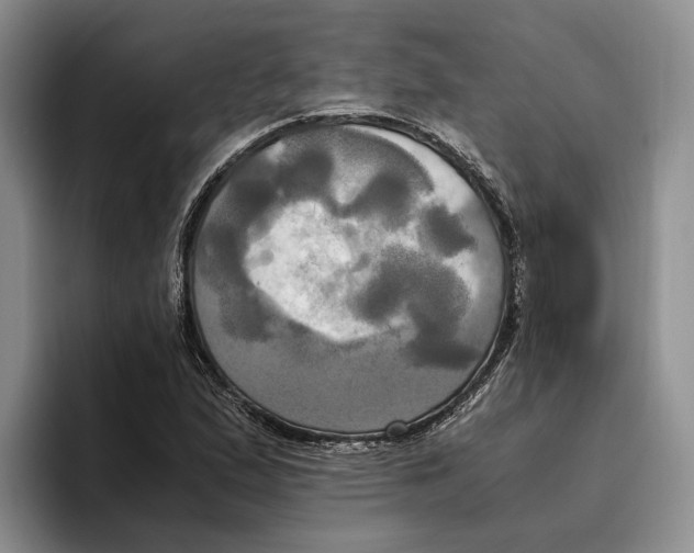 X0000096221167200802151516