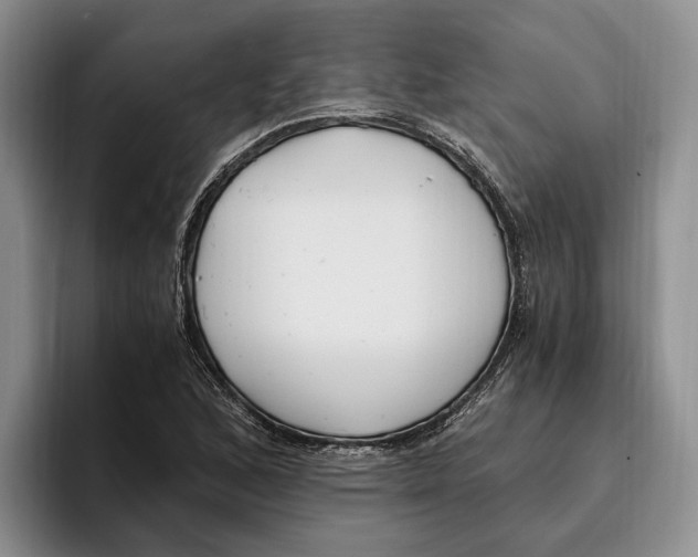 X0000096221168200802151516