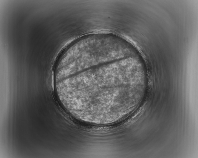 X0000096221171200802151516